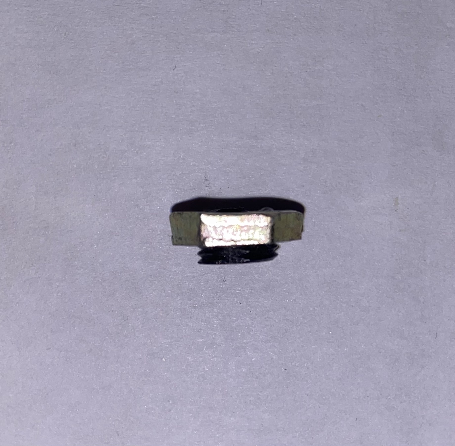 The side view of the nut